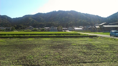 2012-08-21 08.07.15.jpg